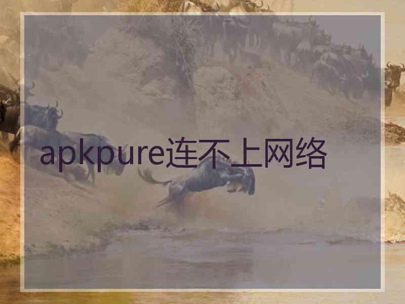 apkpure连不上网络