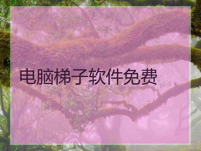 电脑梯子软件免费