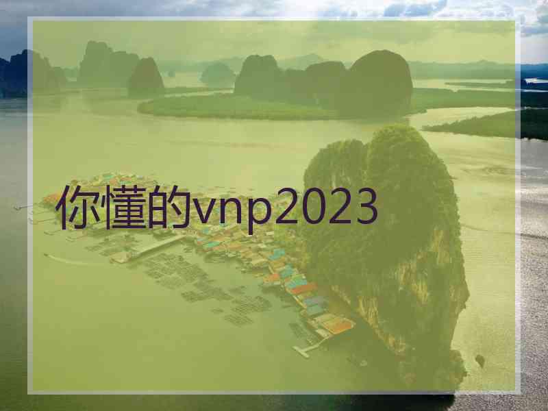 你懂的vnp2023