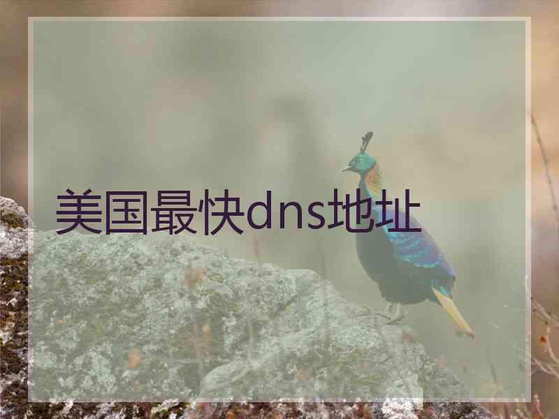 美国最快dns地址