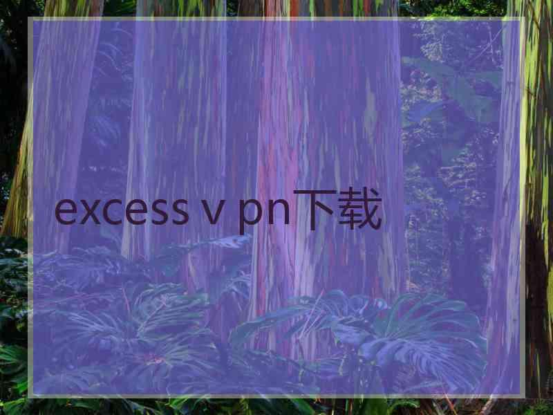 excessⅴpn下载