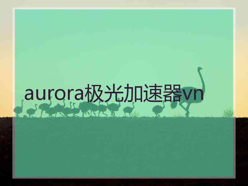 aurora极光加速器vn