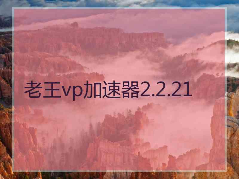 老王vp加速器2.2.21