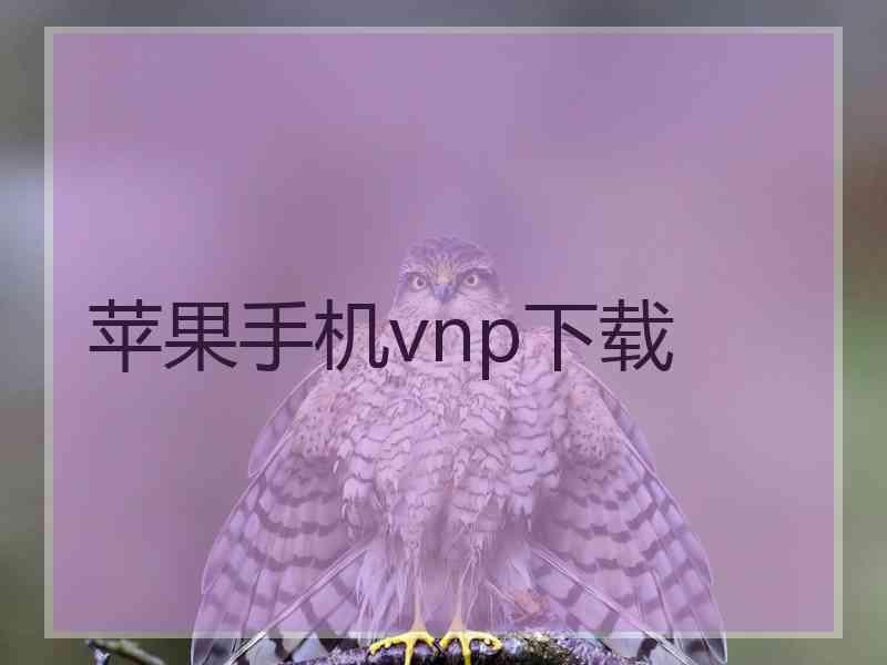 苹果手机vnp下载