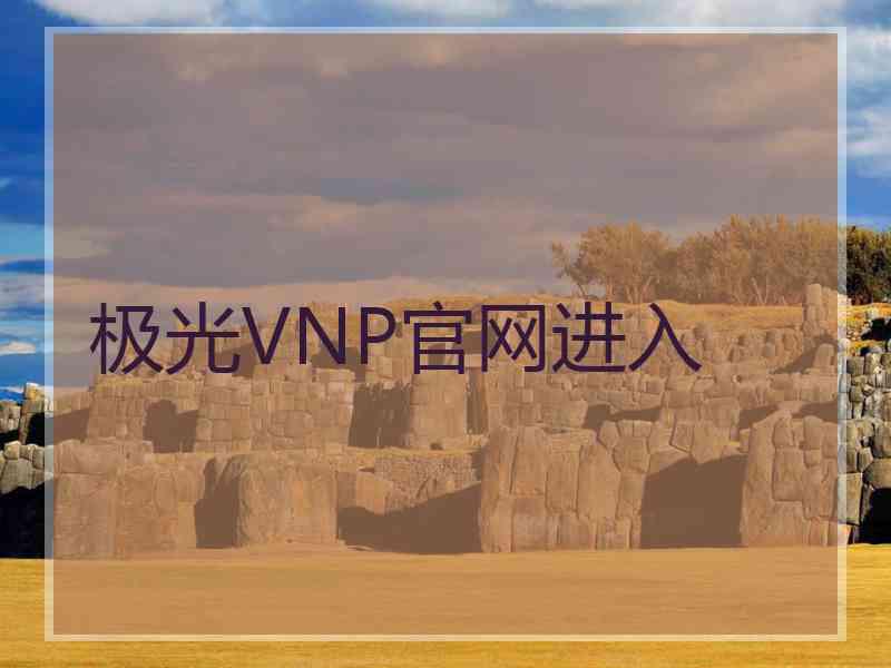 极光VNP官网进入