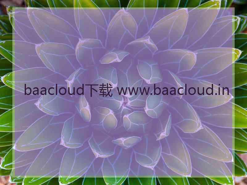 baacloud下载 www.baacloud.in