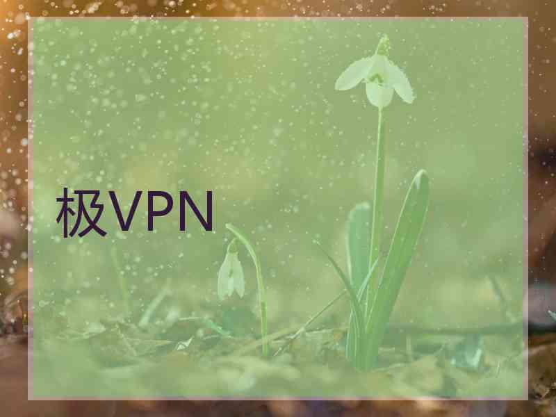 极VPN