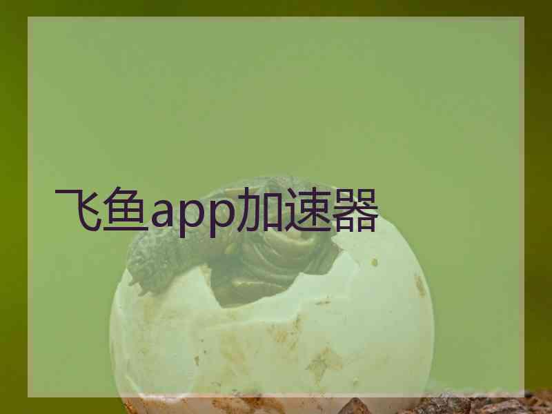 飞鱼app加速器