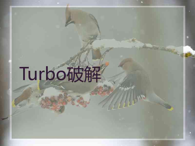 Turbo破解