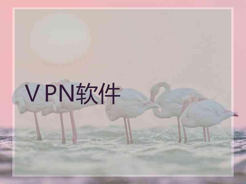 ⅤPN软件