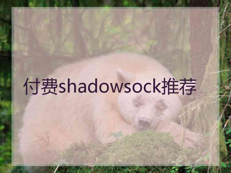 付费shadowsock推荐