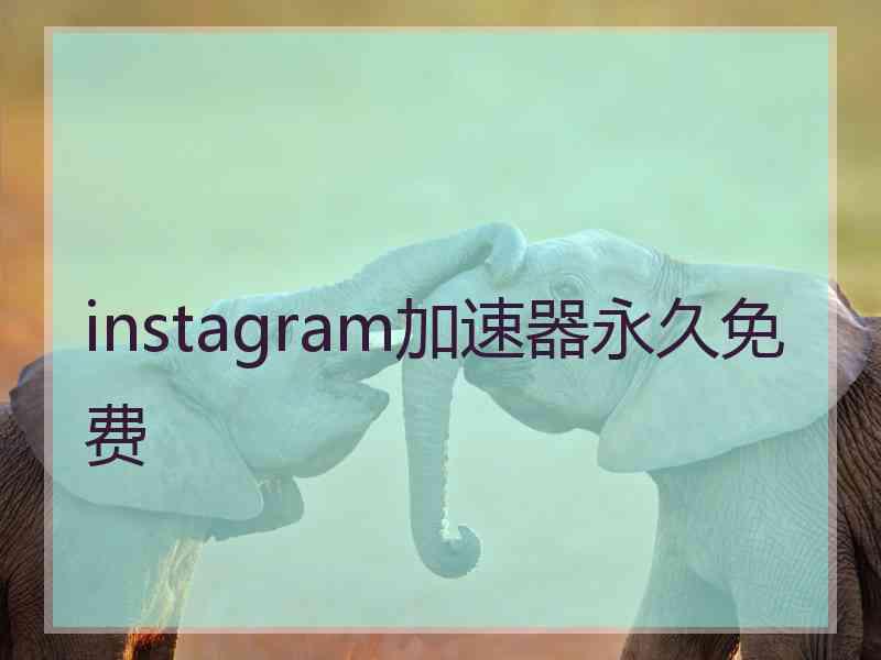 instagram加速器永久免费