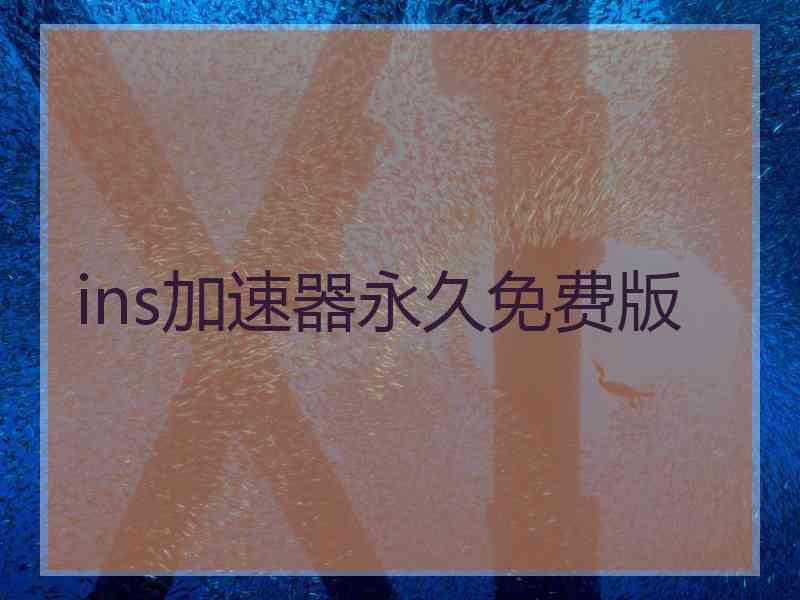 ins加速器永久免费版