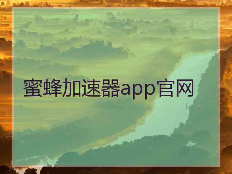 蜜蜂加速器app官网