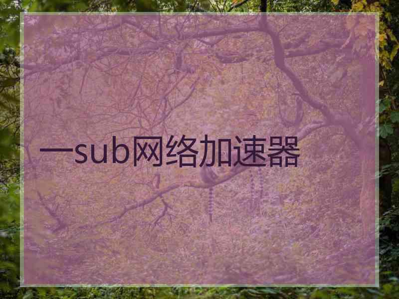 一sub网络加速器