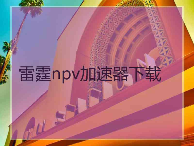 雷霆npv加速器下载